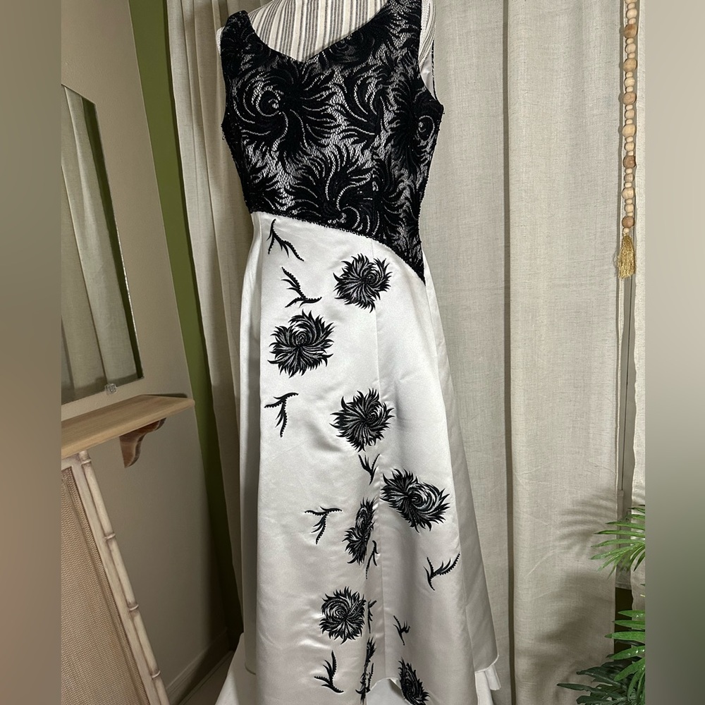 Stunning formal Terani Couture gown